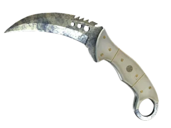 ★ StatTrak™ Talon Knife | Stained (Battle-Scarred)