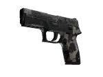 P250 | Black & Tan (Battle-Scarred)