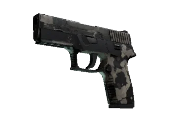 P250 | Black & Tan (Battle-Scarred)