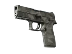 P250 | Facets (Well-Worn)