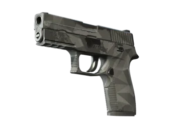 P250 | Facets (Well-Worn)
