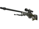 Souvenir AWP | Worm God (Field-Tested)