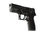 Souvenir P250 | Dark Filigree (Field-Tested)