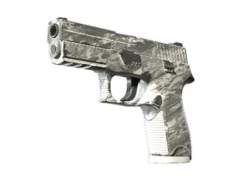 Souvenir P250 | Sleet (Field-Tested)
