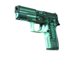 Souvenir P250 | X-Ray (Minimal Wear)