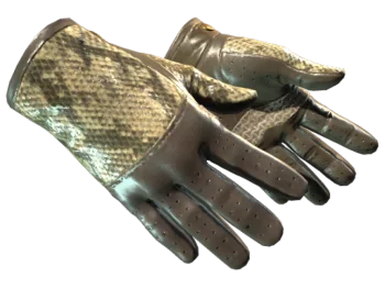 ★ Driver Gloves | Diamondback (Factory New)