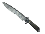 ★ StatTrak™ Classic Knife | Stained (Well-Worn)
