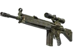 Souvenir G3SG1 | New Roots (Battle-Scarred)