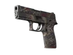 Souvenir P250 | Facility Draft (Well-Worn)