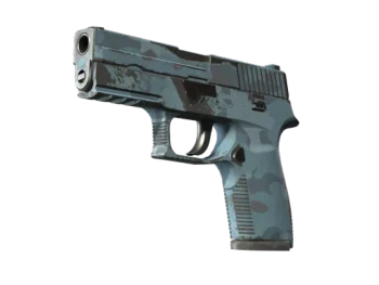 Souvenir P250 | Forest Night (Well-Worn)