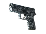 Souvenir P250 | Steel Disruption (Minimal Wear)