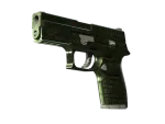 StatTrak™ P250 | Iron Clad (Factory New)