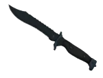 ★ Bowie Knife | Night (Factory New)