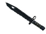 ★ StatTrak™ Bayonet | Night (Well-Worn)