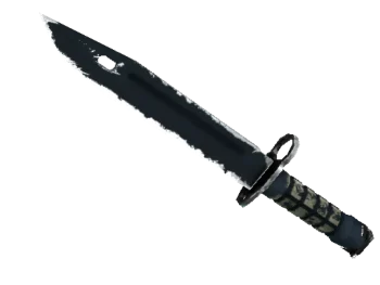 ★ StatTrak™ Bayonet | Night (Well-Worn)