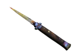 ★ StatTrak™ Stiletto Knife | Case Hardened (Well-Worn)