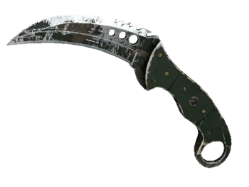 ★ StatTrak™ Talon Knife | Forest DDPAT (Battle-Scarred)